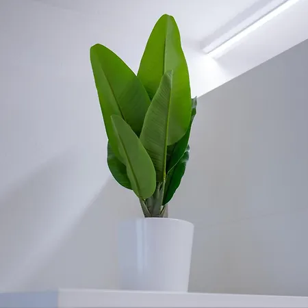 Apartamento House241 Bocconi *